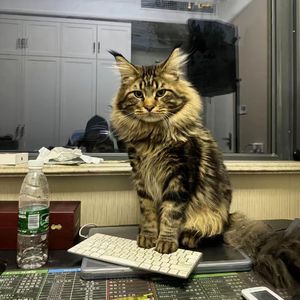 亂倫近親相姦中文字幕的编剧是谁
